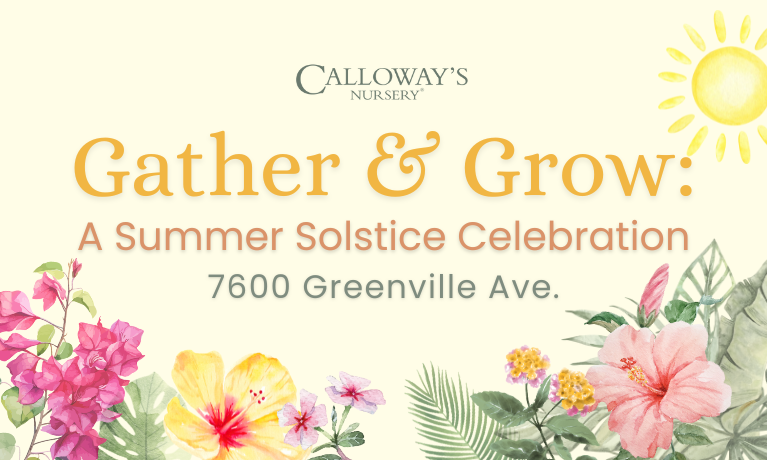 Gather & Grow: A Summer Solstice Celebration
