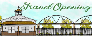 Cedar Park Grand Opening Event Page