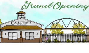 Cedar Park Grand Opening Event Page