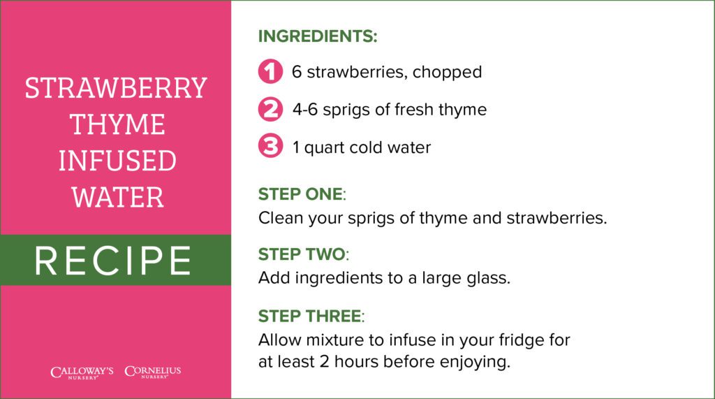 strawberry thyme infused water recipe card