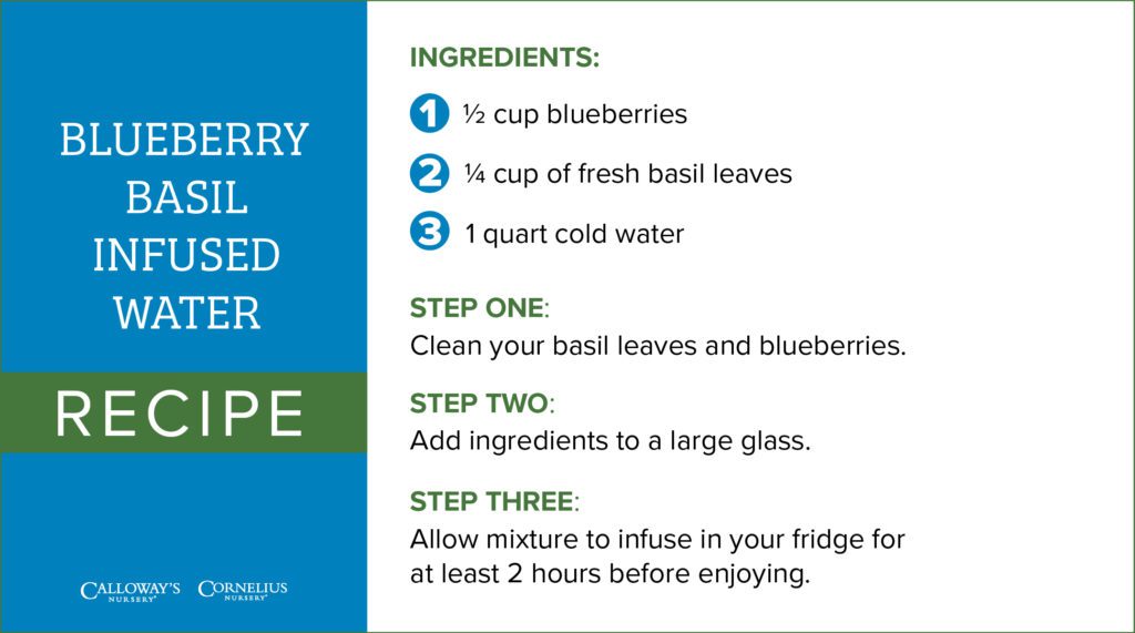 blueberry basil infused water recipe card