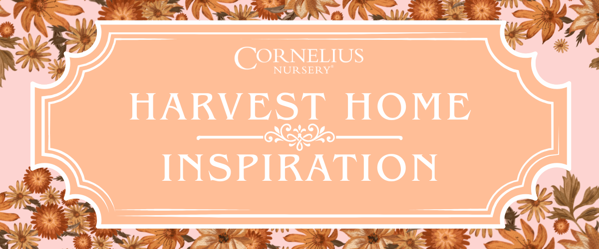 Harvest Home Inspiration: Fall Décor Demo