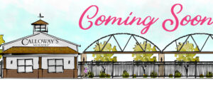 Cedar Park render