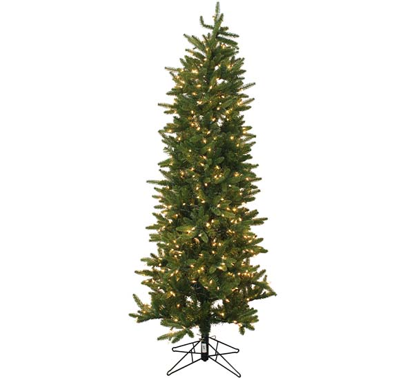 Henderson Spruce 6.5’ Clear Lights