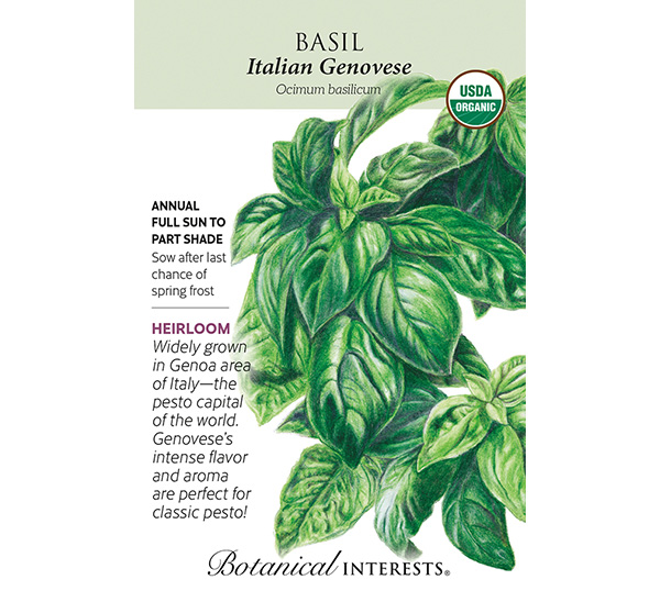 Italian Genovese Basil Seeds