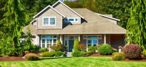 Landscape Design & Install