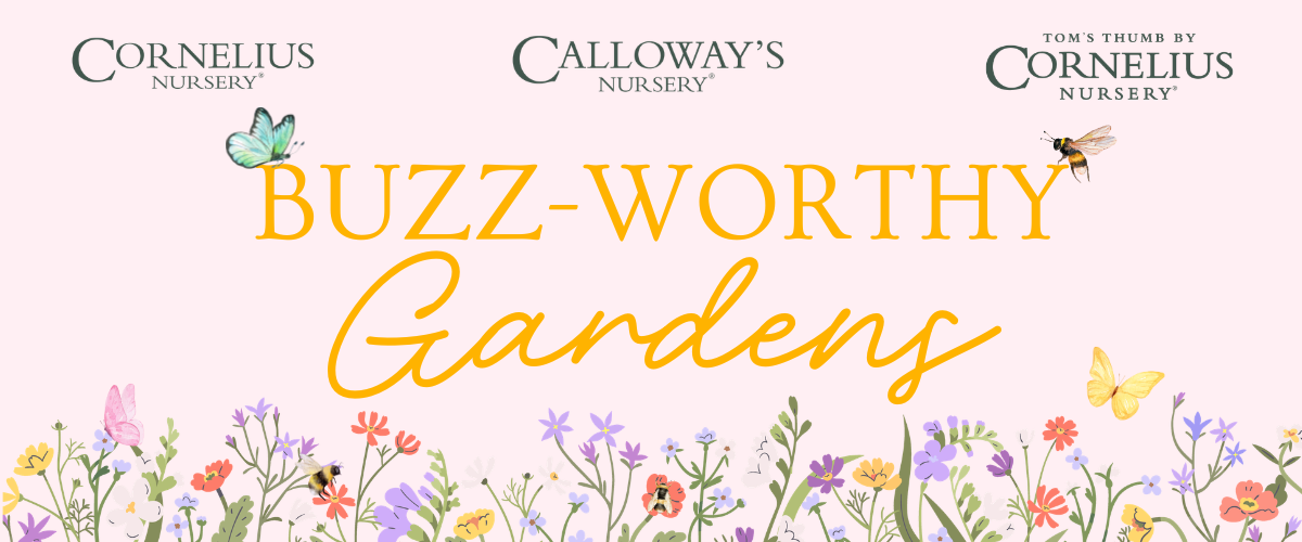 Buzz-Worthy Pollinator Gardens