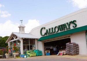 Denton, TX Garden Center | Calloway's Nursery