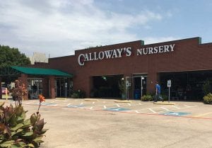 Storefront of Calloway's Nursery | Plano, TX Preston Road Location