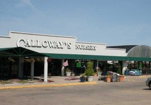 Store front of the Calloway's Nursery South Arlington Location