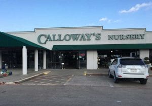 Store front of the Calloway's Nursery Richardson Location