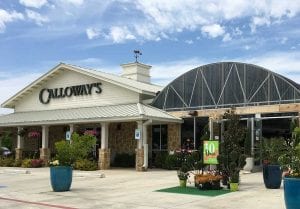 Storefront Calloway's Nursery | Mansfield Garden Center