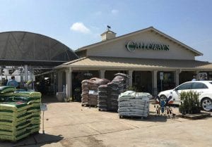 Little Elm Garden Center | Calloway's Nursery