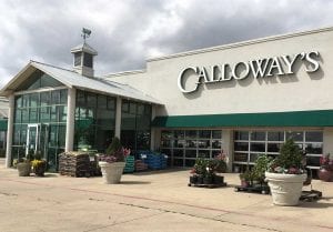 Hurst, TX Garden Center | Calloway's Nursery