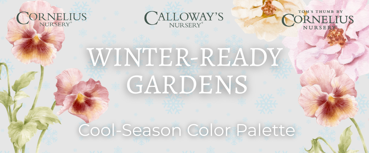 Winter-Ready Gardens: Cool-Season Color Palette