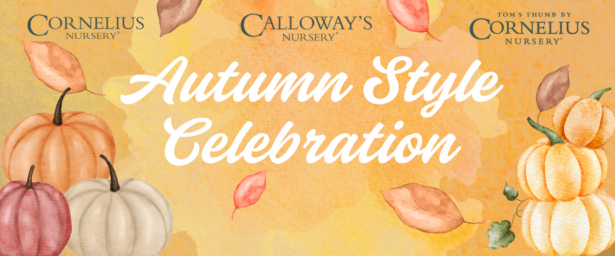 Autumn Style Celebration