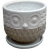 Owl Planter