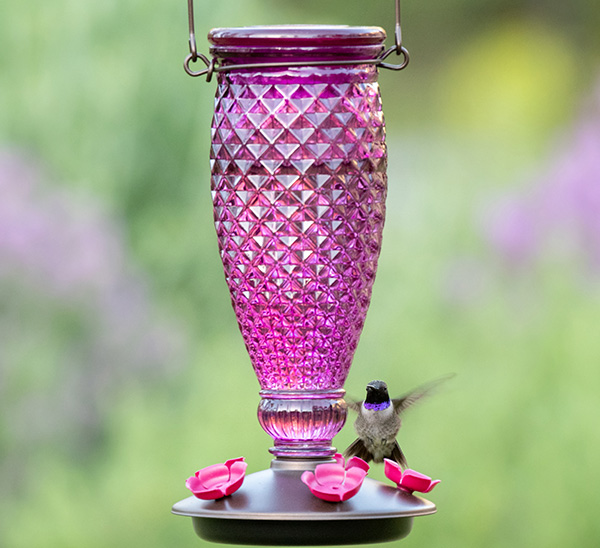 Perky-Pet® Diamond Wine Top-Fill Glass Hummingbird Feeder