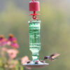 Bird drinking from Perky-Pet® Green Antique Glass Bottle Hummingbird Feeder