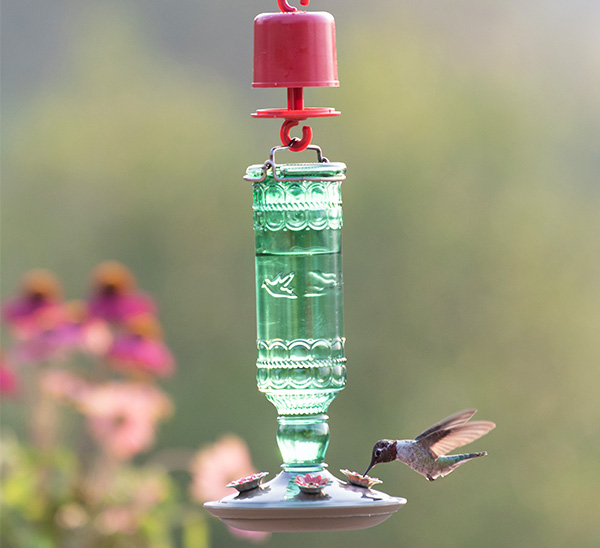 Perky-Pet® Green Antique Glass Bottle Hummingbird Feeder