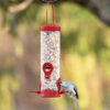 Bird eating from Perky-Pet® Red 2-In-1 Tube Bird Feeder
