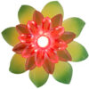 The Award-Winning Plant Alarm Moisture Sensor