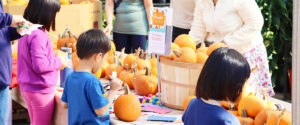 children decorating pumpkins