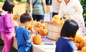 children decorating pumpkins