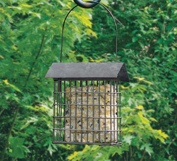 Rustic Farmhouse Single Suet Galvanized Feeder