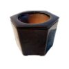 Self Watering Pot