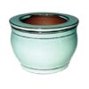 Self Watering Pot