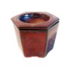 Self Watering Pot