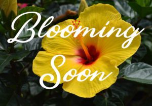 Spring Blooming Soon