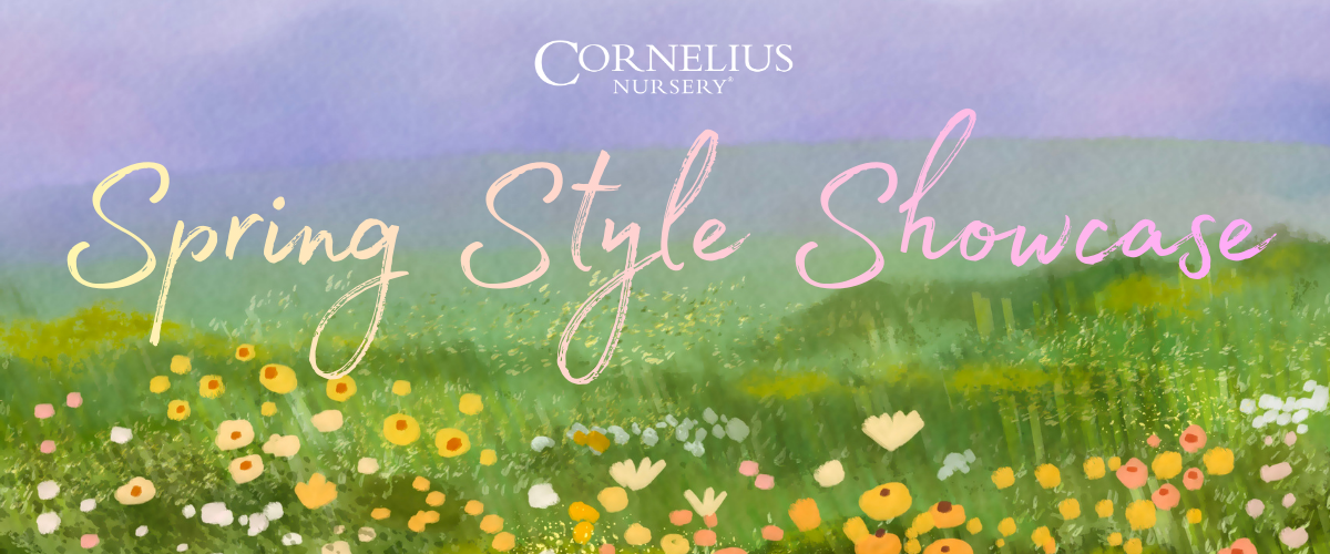 Spring Style Showcase