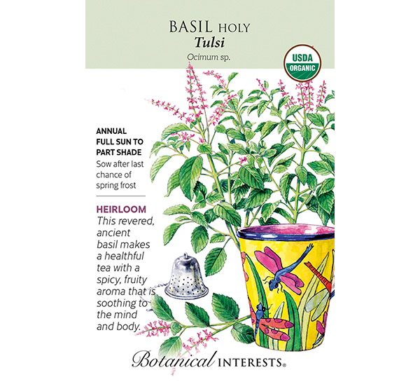 Tulsi Holy Basil Seeds