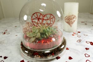 ValentinesTerrarium