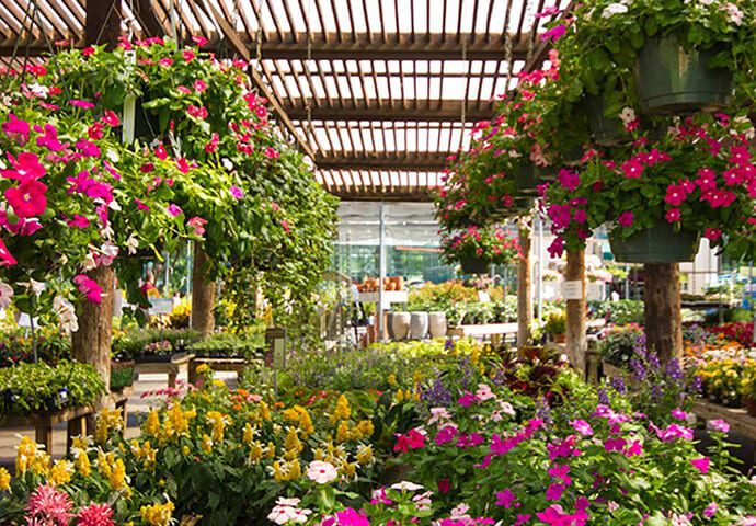 Garden Nurseries Dallas Tx ~ TheNurseries