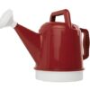 Watering Can 2.5 Gallon