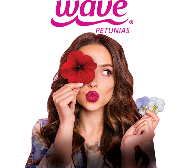 Wave Petunia Event
