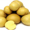 Seed Potatoes Gallery Image