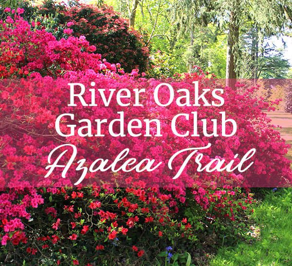 azalea trail feature web image 030119