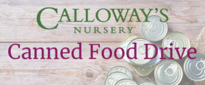 calloway's canned food drive with tin cans in background
