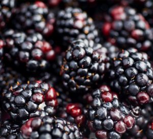 Blackberries