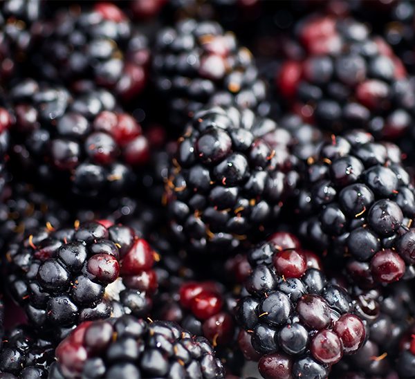 Berries 
