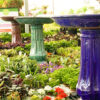 Birdbaths