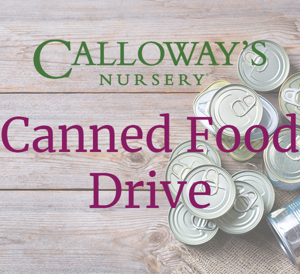 calloway's canned food drive with tin cans in background