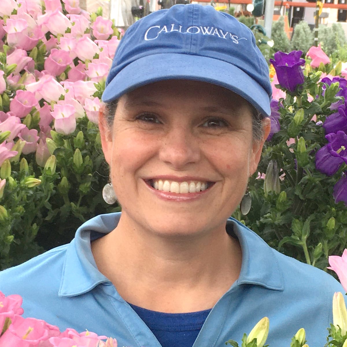 Calloway's Nursery McKinney TX Garden Center, Plant Shop