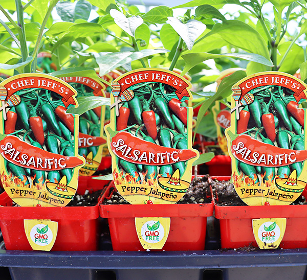 Chef Jeff's® Vegetables Garden Favorites 