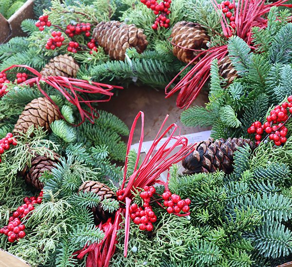Christmas Greenery 