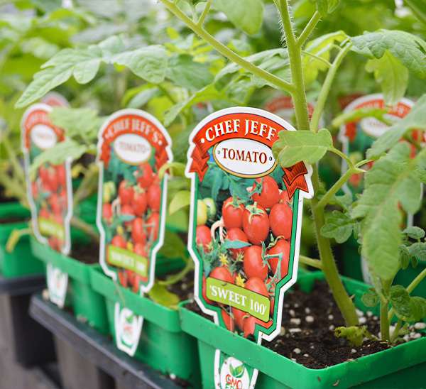 Chef Jeff's® Vegetables Garden Favorites 